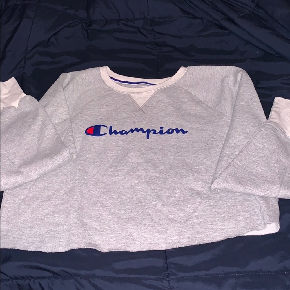 Cropped Champion Sweater